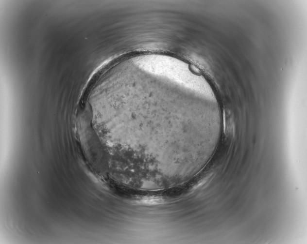 X0000084530204200703161615