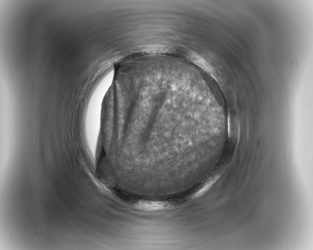 X0000084530205200703161615