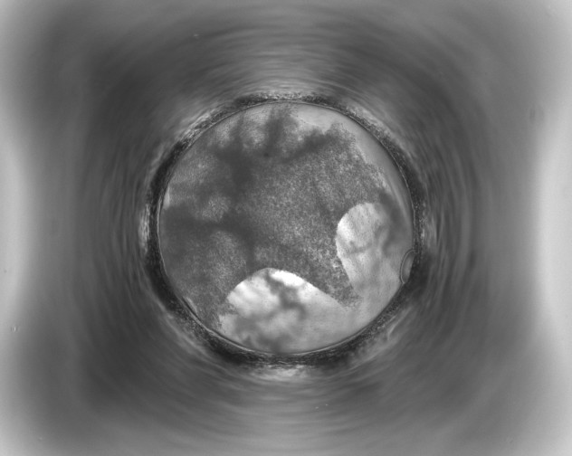 X0000084530206200703161615