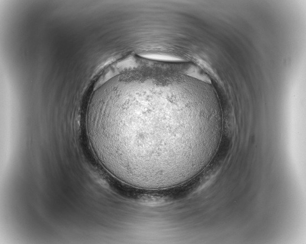 X0000084530207200703161615