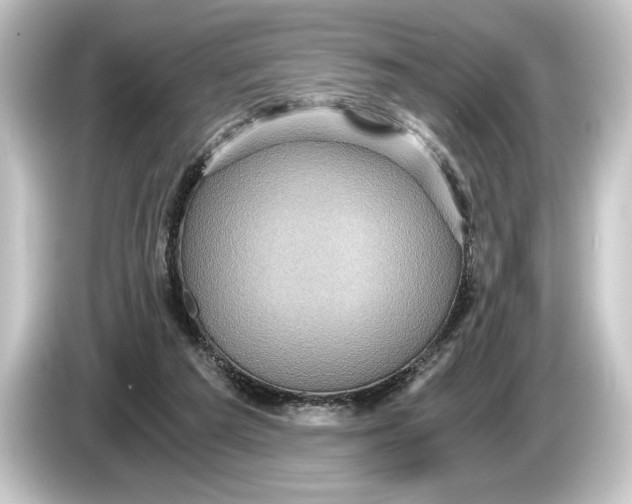 X0000084530209200703161615