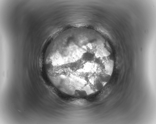 X0000084530210200703161615