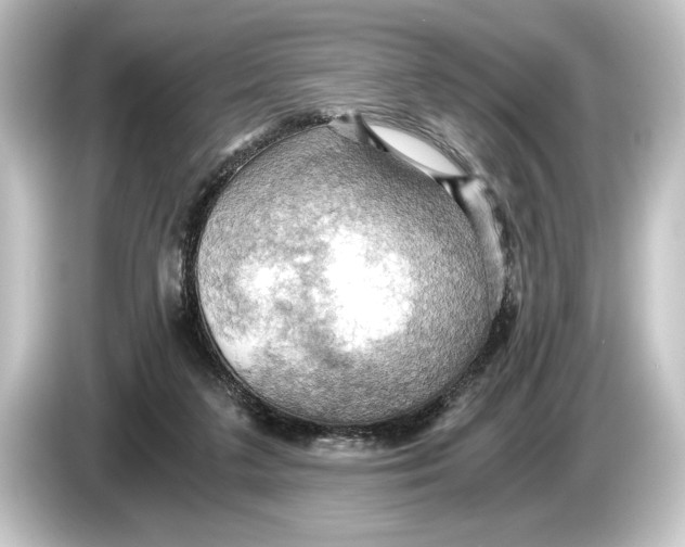 X0000084530211200703161615