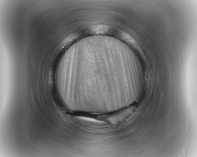 X0000084530212200703161615