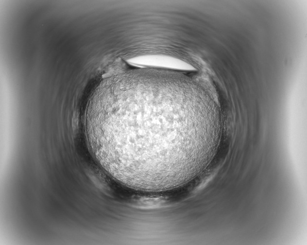 X0000084530213200703161615