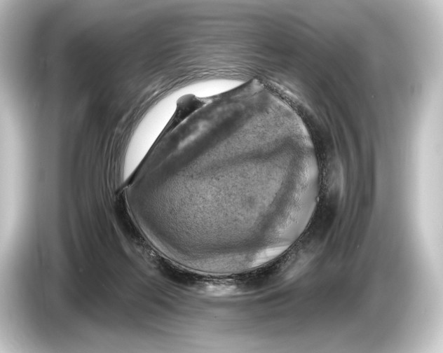 X0000084530214200703161614