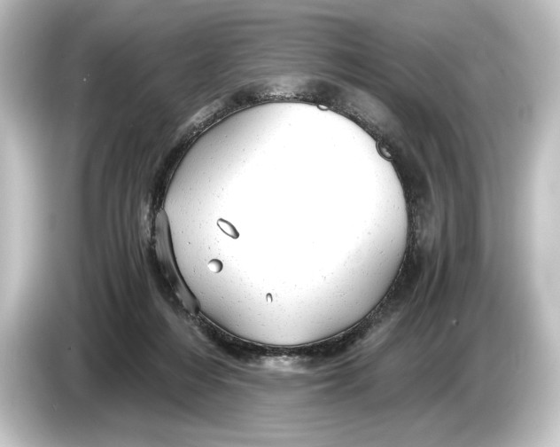 X0000084530216200703161614