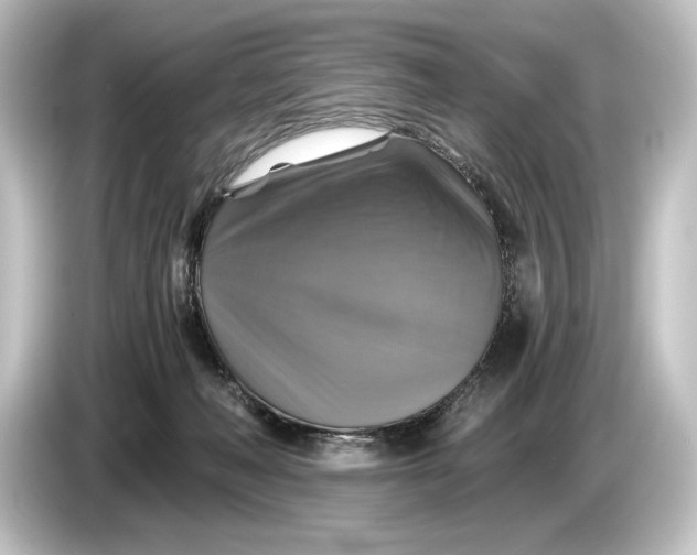 X0000084530222200703161614