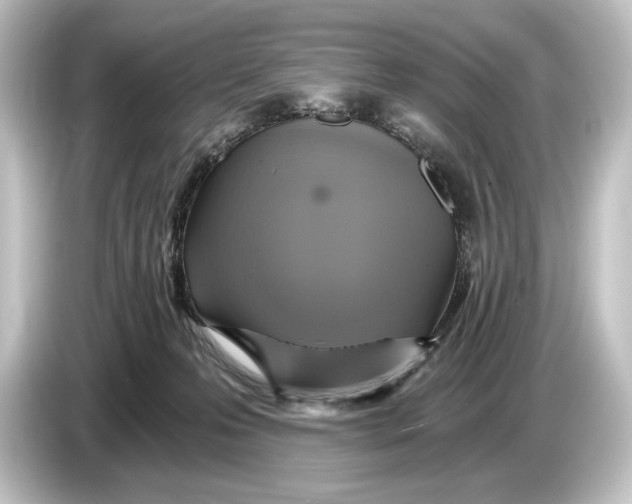 X0000084530223200703161614