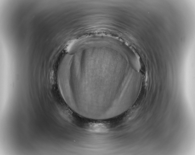 X0000084530224200703161614