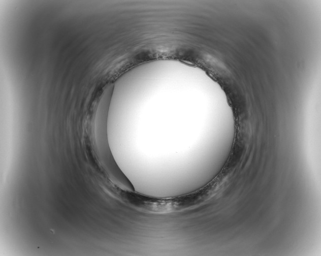 X0000084530225200703161614