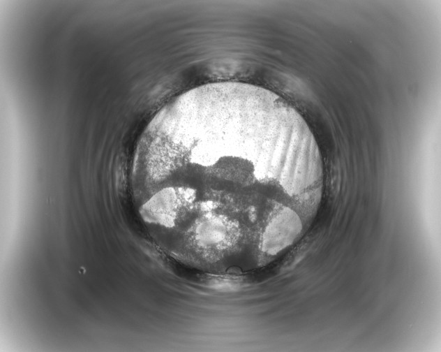 X0000084530226200703161614