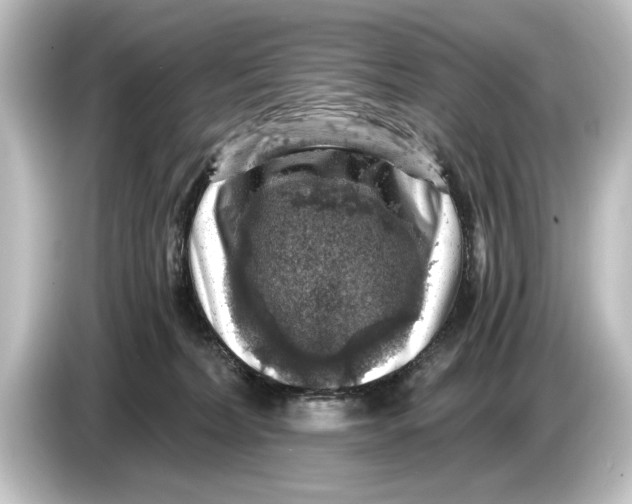 X0000084530228200703161614