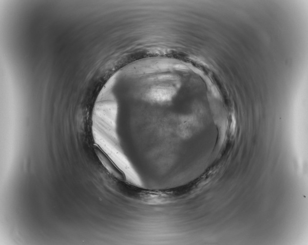 X0000084530229200703161614