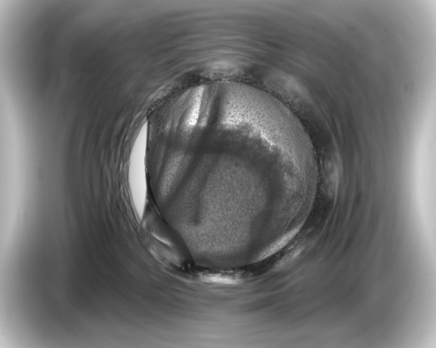 X0000084530232200703161614