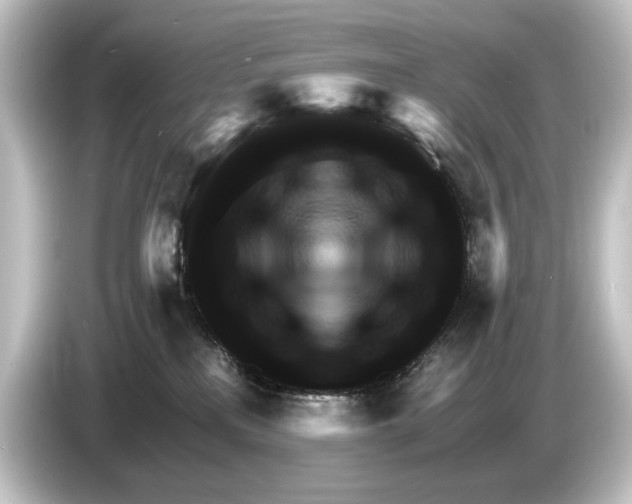 X0000084530233200703161614