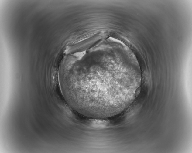 X0000084530234200703161614