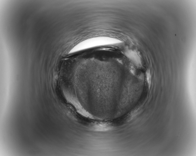 X0000084530235200703161614