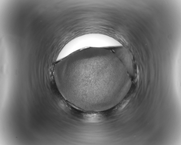 X0000084530237200703161614