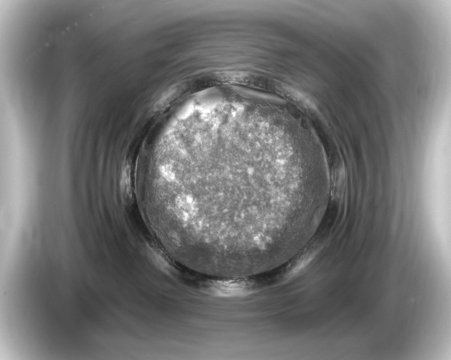 X0000084530238200703161614