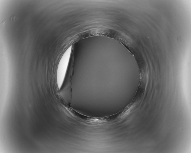 X0000084530239200703161614