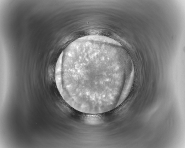 X0000084530240200703161614