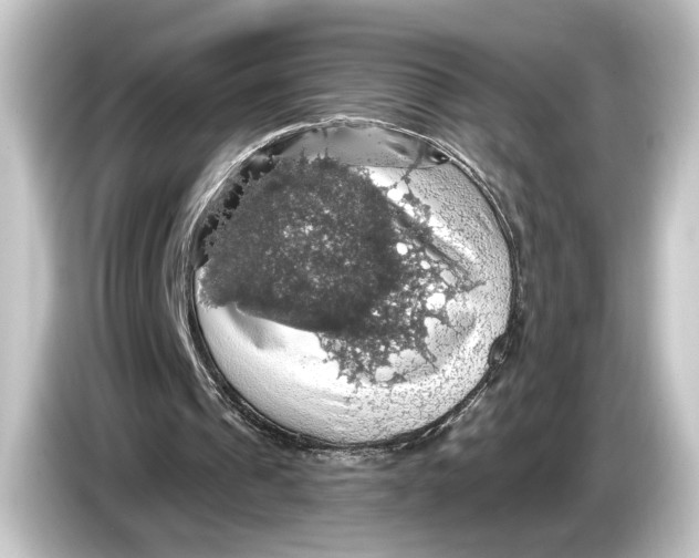 X0000084530241200703161614