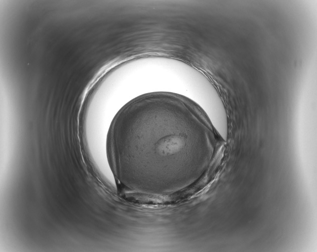 X0000084530244200703161614