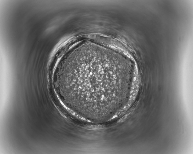 X0000084530245200703161614