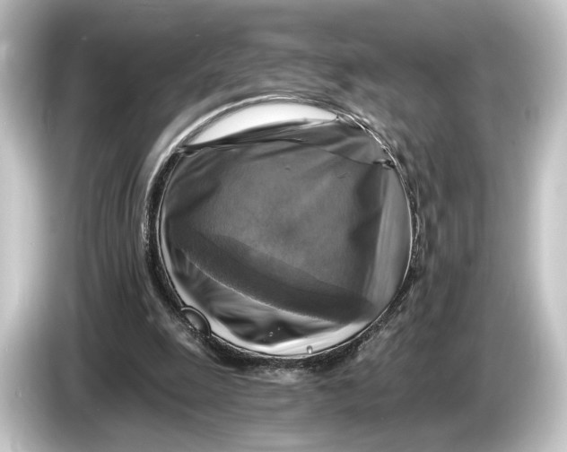 X0000084530247200703161614