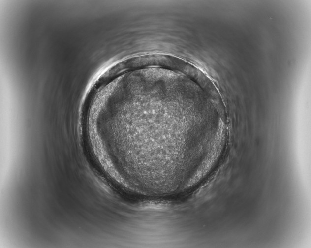 X0000084530248200703161614