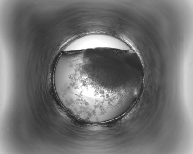 X0000084530249200703161614