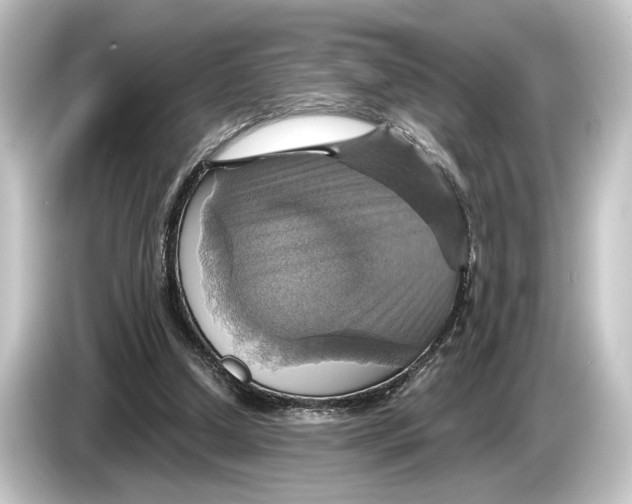 X0000084530250200703161614