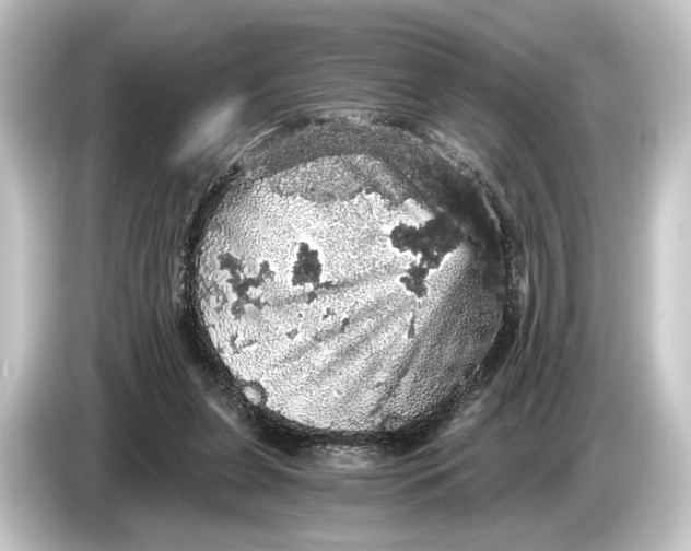 X0000084530255200703161614