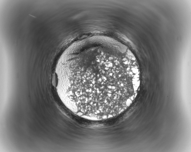 X0000084530257200703161614