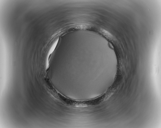 X0000084530258200703161614