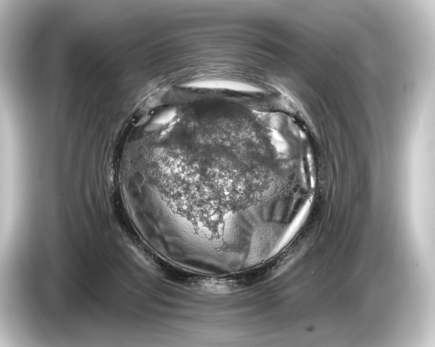 X0000084530261200703161614