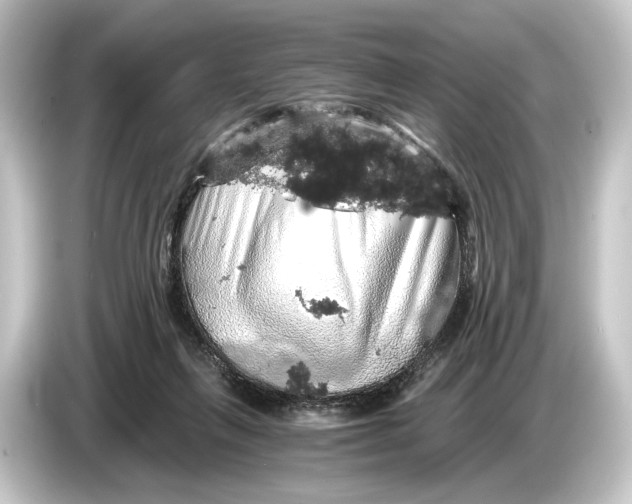 X0000084530263200703161614