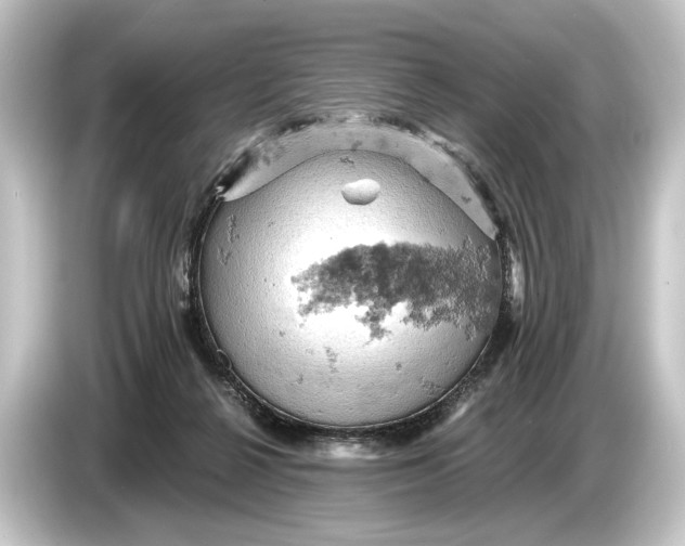 X0000084530264200703161614