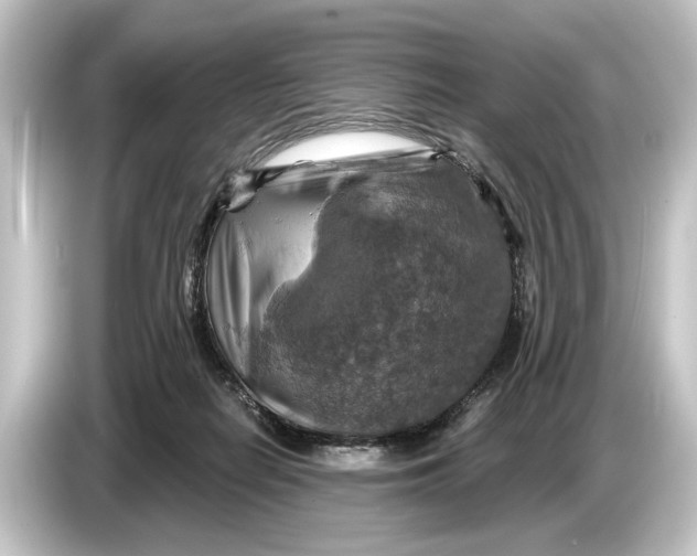 X0000084530266200703161614