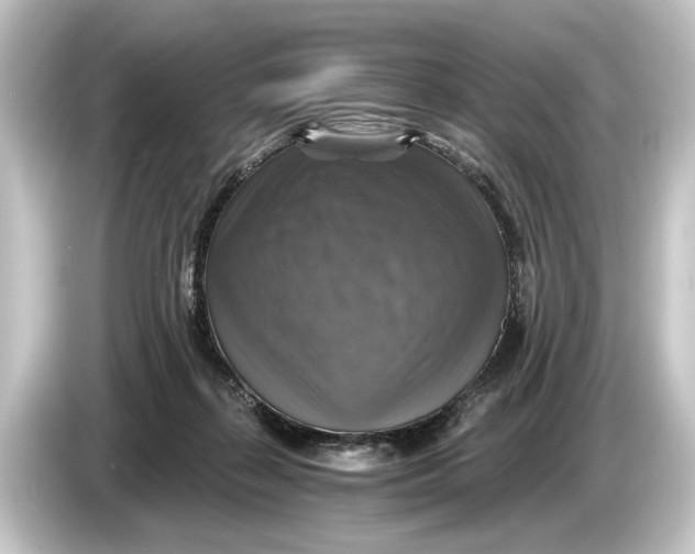 X0000084530267200703161614