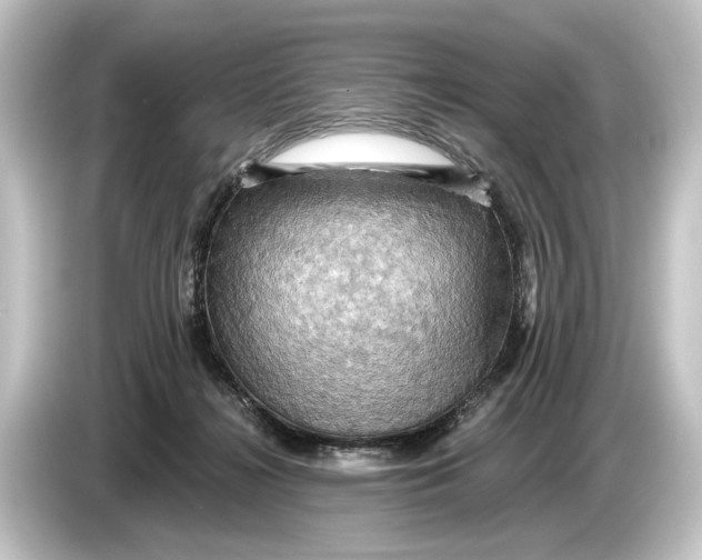 X0000084530268200703161614