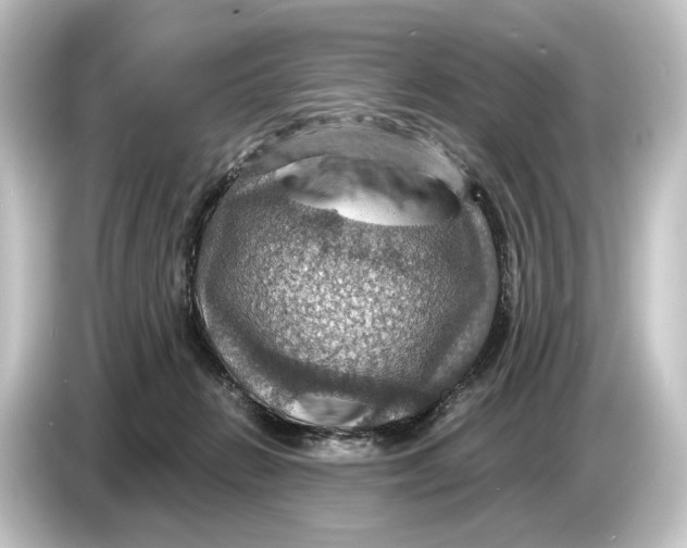 X0000084530270200703161614