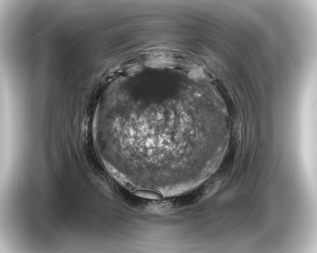 X0000084530271200703161614