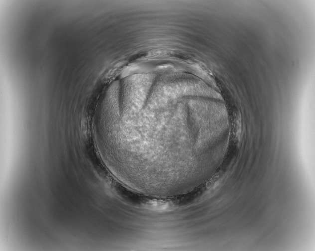 X0000084530272200703161614