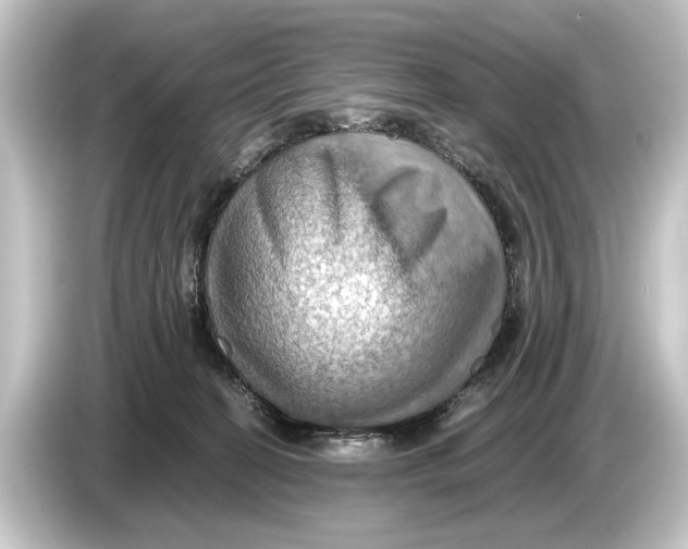 X0000084530274200703161614