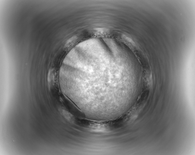 X0000084530276200703161614