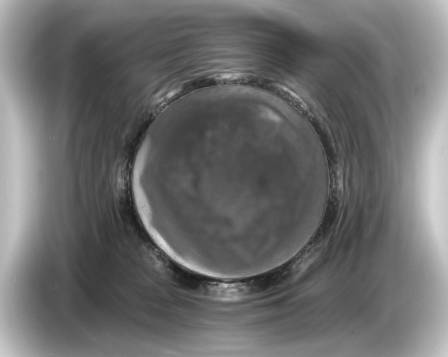 X0000084530277200703161614