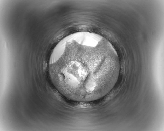 X0000084530278200703161614