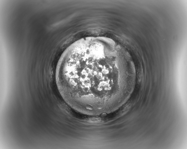 X0000084530279200703161614